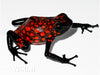 Oophaga sylvatica "Diablo" calling male #03