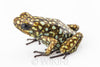 Oophaga sylvatica "Situwa" unsexed #05