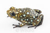Oophaga sylvatica "Situwa" unsexed #01