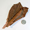 Dried Peruvian Guava leaves
